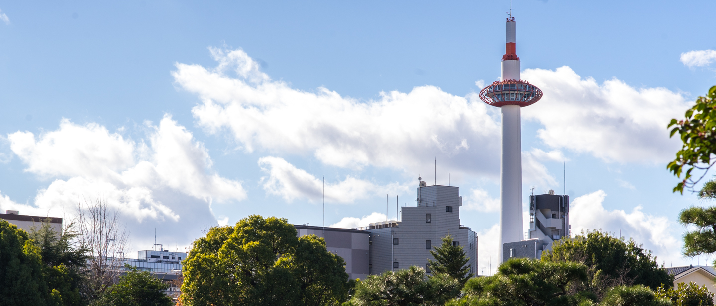 出会いの場を提供します